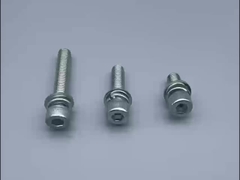 Hex Socket Allen Screw with Washer