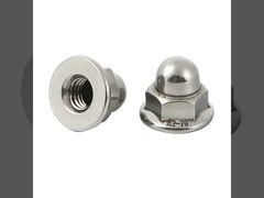Hex Flange Cap Nut