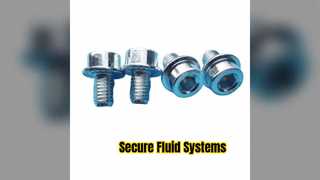 DIN251 Hex Socket Cap Bolt