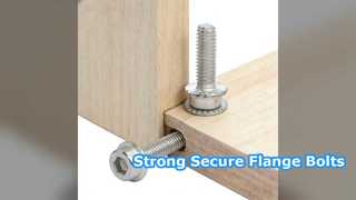 Boulons à bride à six pans creux DIN251 SS