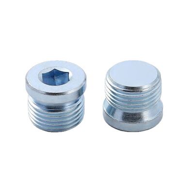 خرید DIN906 قدرت بالا درجه 8.8 Hexagon Socket Pipe Plug تولید آنلاین